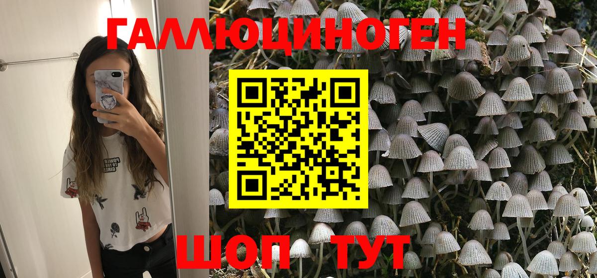 Псилоцибиновые грибы мицелий Тихвин